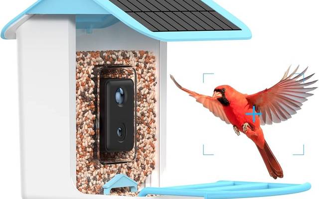 ChirpyCharm Beware before buying! Is It Legit or a Scam? Find out now!

