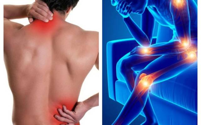 Organa CBD Gummies :Benefits, Ingredients, and Is it legit or Does it Really Work ?