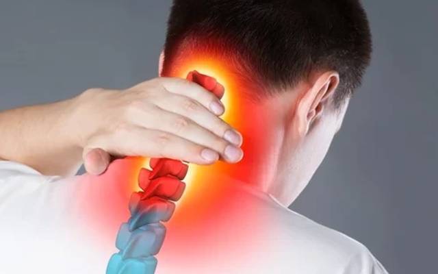 Organa CBD Gummies Review Best Result, Ingredients, Benefits & Where To Buy?