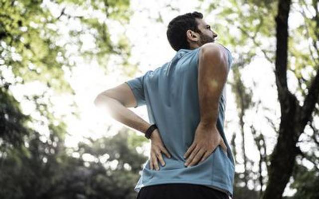 Organa CBD Gummies Ingredients, side effects and Is it legit or Does it Really Work , What To Know Before Using It?