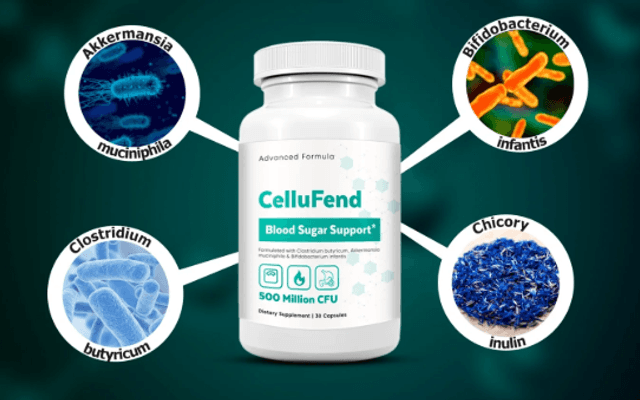 CelluFend : Review Should You Give It A Try?