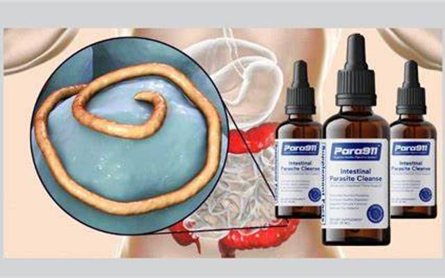 Para911 Drops Reviews 2025 - A Natural Parasite Cleanse Formula For Gut Health!