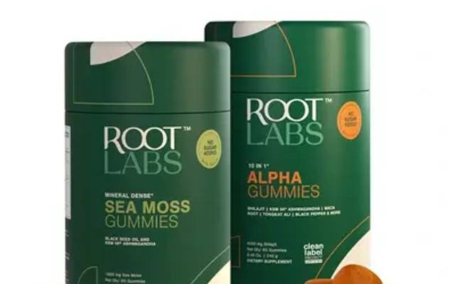 Stay Sharp, Stay Focused with Root Labs Alpha Gummies – Brain-Boosting Power in Every Gummy