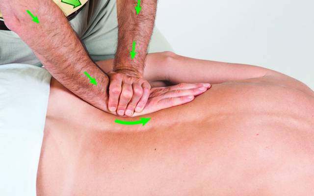 

Organa CBD Gummies Reviews Shocking Results, Price or Benefits?