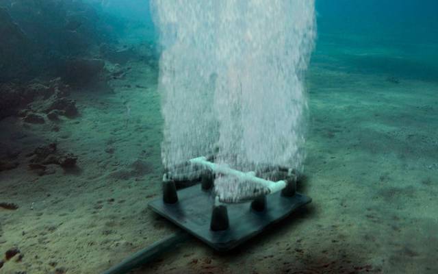 Best Pond Supplies of 2025: Expert Picks