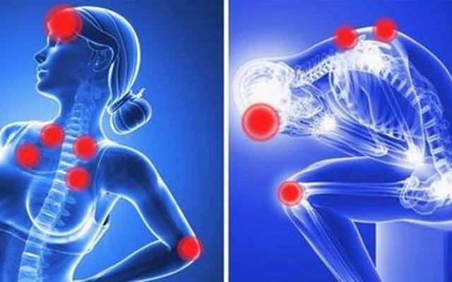 Organa CBD Gummies Benefits, Ingredients, Side Effects, Pain Relief Gummies, Price & Where to Buy ?