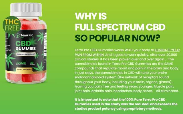 Terra Pro CBD Gummies: Expert Insights & User Results for Restful Nights