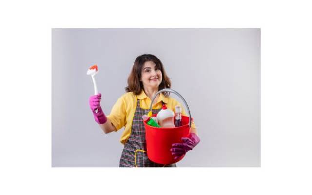 Top Tips for Choosing the Right Maid in Mumbai


