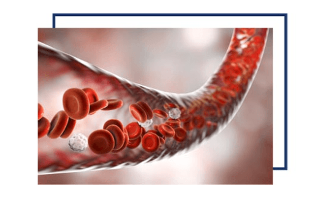 Prime Drops For Men: Pros And Cons Real