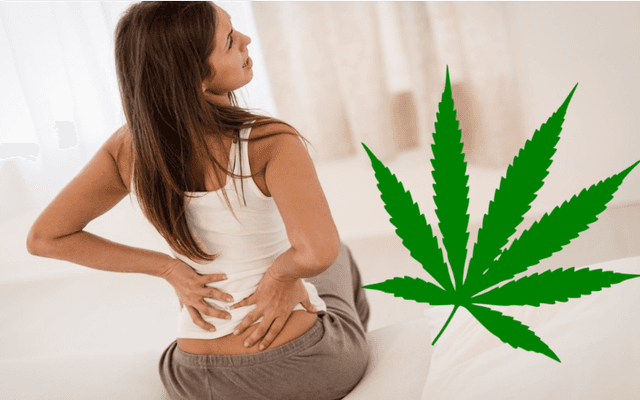 Element Organics Hemp Gummies Australia Natural Relief for Stress & Sleepless Nights