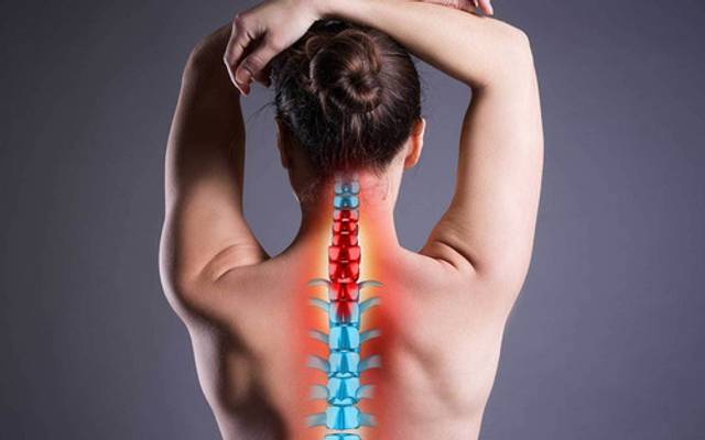 Element Organics Hemp Gummies Canada Reviews & 100% Natural!