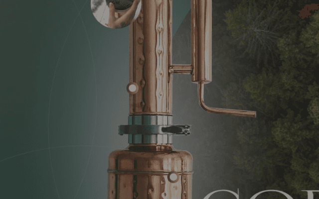 Home Aromatherapy: Secrets of Distilling Lavender into Essential Oil