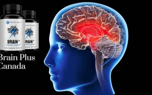 Brain Plus Canada And Neuroplasticity: How This Supplement Supports Your Brain’s Ability To Learn, Adapt, And Grow