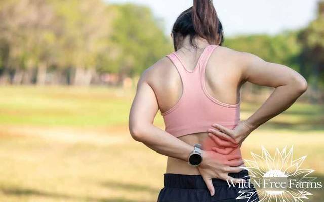 Element Organics Hemp Gummies Canada Reviews Benefits Read Reviews Official Website!