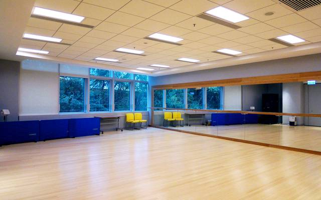 Renewable and Responsible: The Environmental Benefits of Bamboo Floors