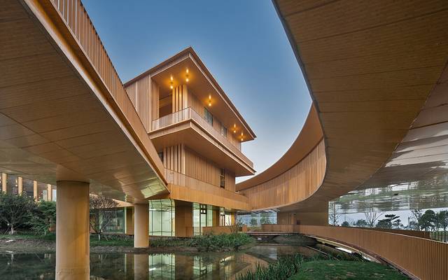 What Makes Moso Bamboo the Best Species for High Quality Plywood