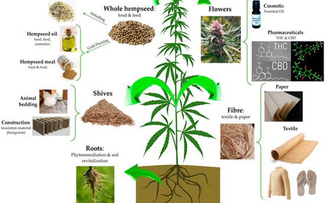 Leaf Lab CBD Capsules UK IE Clinical certified , 100% Natural