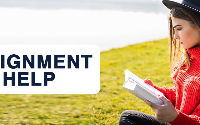 How to Write an Online Assignment Like a Pro