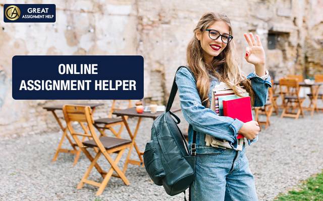 How Students Can Get A+ Grades with Expert Assignment Support