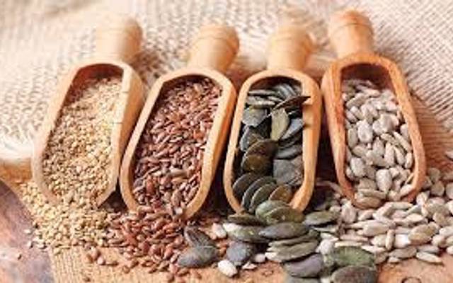 Seeds Market Size, Growth & Trends Report 2025-2033