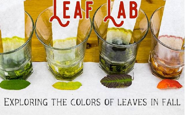Leaf Lab Official Updated