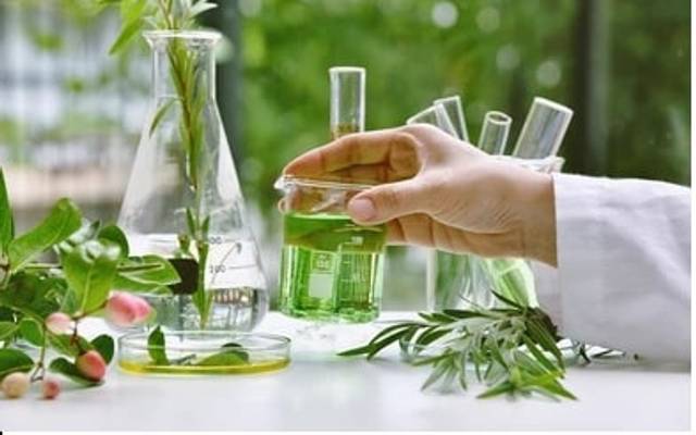 Leaf Lab you need to know