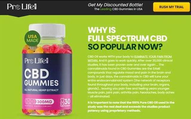 Pro Life CBD Gummies: A Complete Guide for Beginners