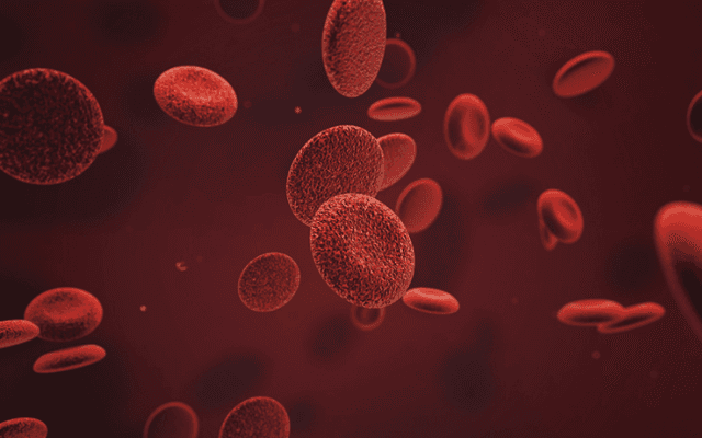 Bio Cell Blood Pressure Official Website Must Read Before Buy?