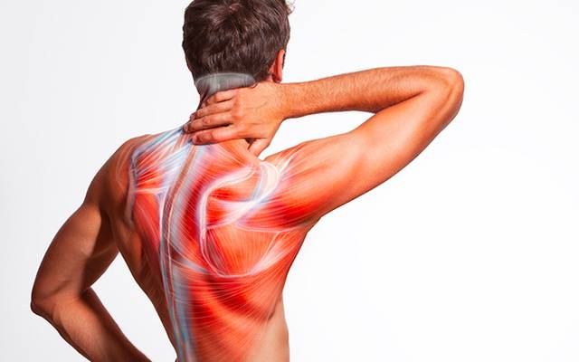 Terra Pro CBD Gummies Relief From Anxiety, Stress, Joint Pain, Support Physically & Mentally, Price!