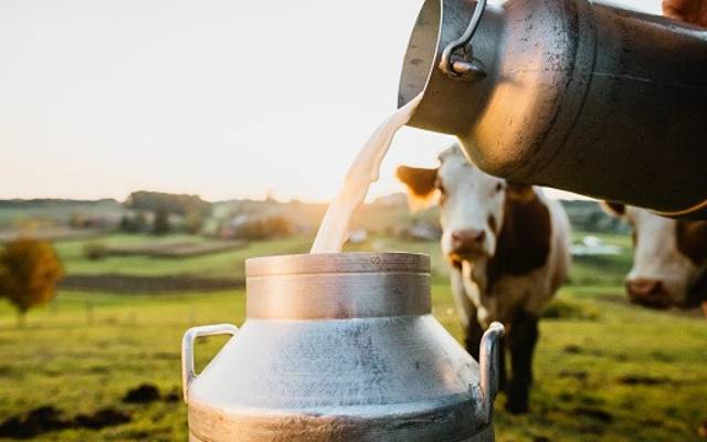 Dairy Industry in India Share – Top Producers, Market Dynamics, and Regional Overview by 2033