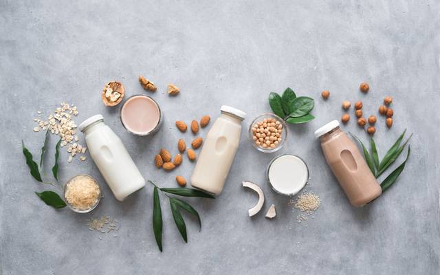 India Plant-Based Milk Market Research Analysis, Consumer Insights and Forecast Report by 2033