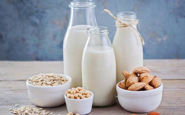 India Milk Alternatives Market Trends and Report by 2033 | Get a Free Sample Report
