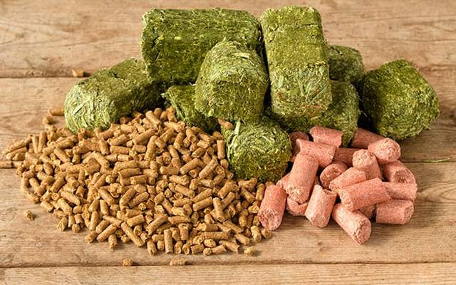 Indian Animal Feed Market: An Explosive INR 2,112 Billion Shift to Deep-Tech Commercial Farming