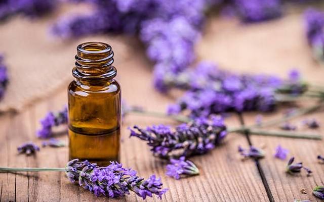 India Essential Oil Market 2025; Share, Trends, Growth, Outlook and Report by 2033