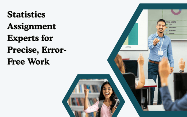 Statistics Assignment Experts for Precise, Error-Free Work
