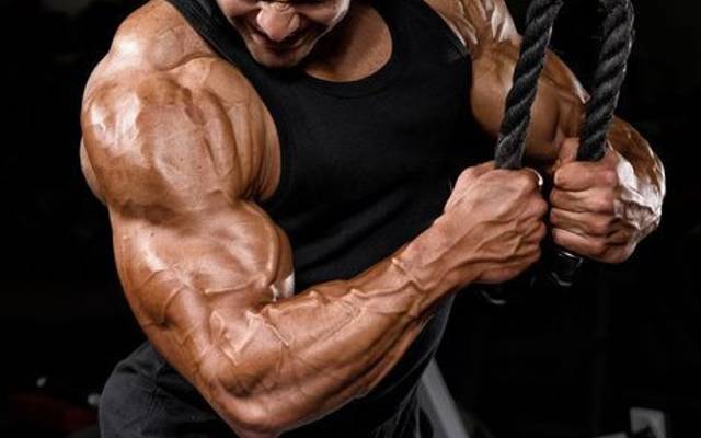 Best Legal steroids For Cutting Review (We Tried It 90 Days) An Extensive Review 2025.