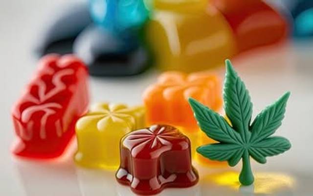 Sam Malone CBD Gummies 
Is It Worth For Money? Make Sure You Read It!