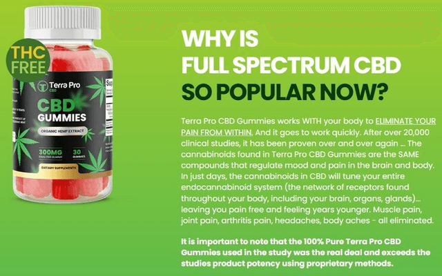 Terra Pro CBD Gummies: Effective Natural Pain Relief and Mood Booster?