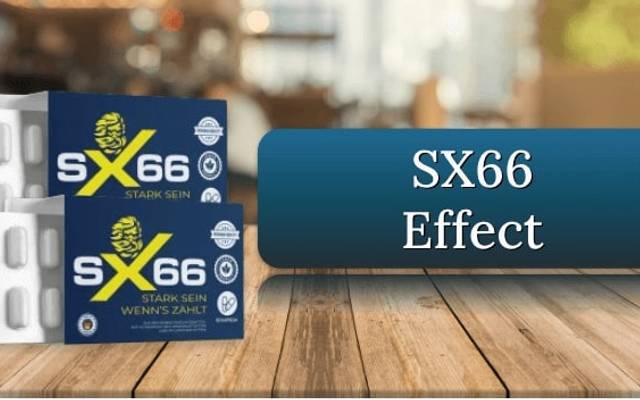 SX66 ME: Kann dieses Supplement wirklich Ihre Leistung steigern?
