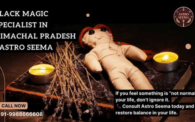Can a Black Magic Specialist in Himachal Pradesh Help With Career or Business Problems?