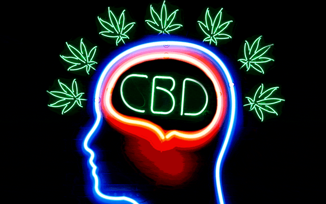 Planta CBD Gummies Amazon?