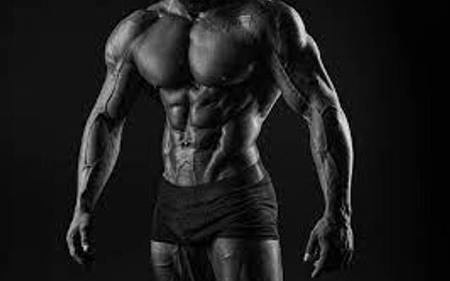 Best Legal Steroids for Bulking (We Tried It) Here's Our Honest Review After 108 Days!