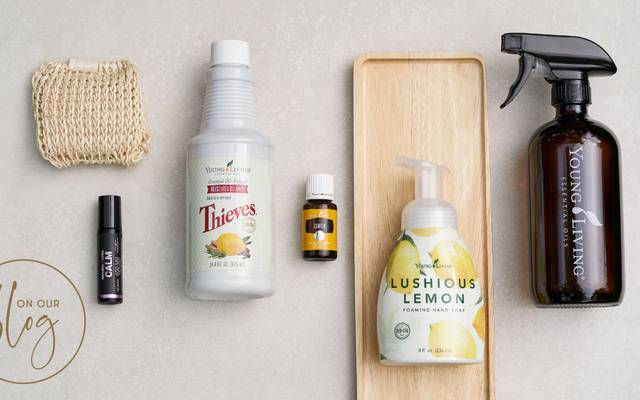 2025 Cooling Solutions Guide | Smart Picks for Your Home Essentials