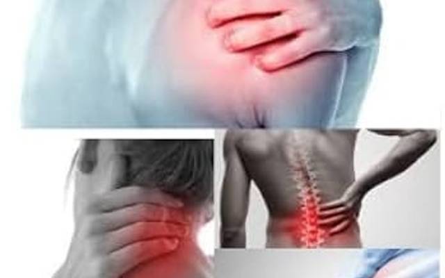 Forest Mountain Farms CBD Gummies What Are Customers Saying? Should you Buy Or Not ?