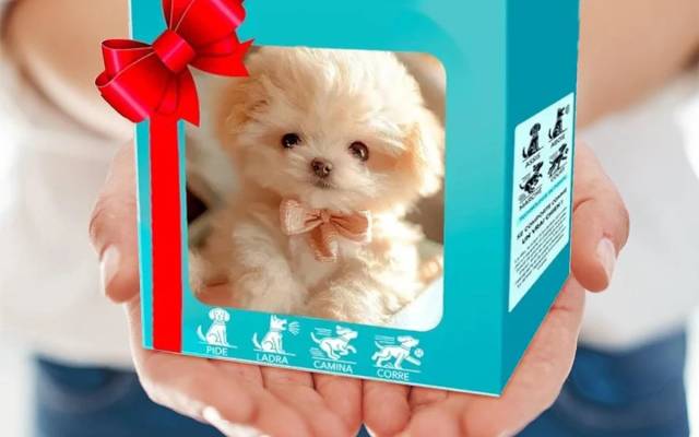 Wuffy Robot Puppy The Ultimate Robotic Dog for Family Fun