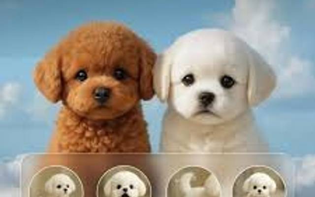 Wuffy Robot Dog Reviews: How It Helps Build Emotional Connections in Kids!