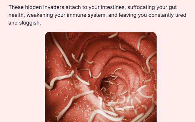 Para911 Parasite Cleanse Drops New Zealand Review Is It Really Worth Your Money