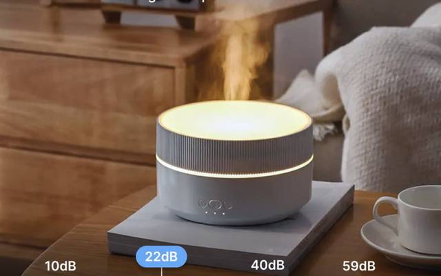 Clairu Humidifier Review Analyzing the Performance of This Dual-Purpose Device