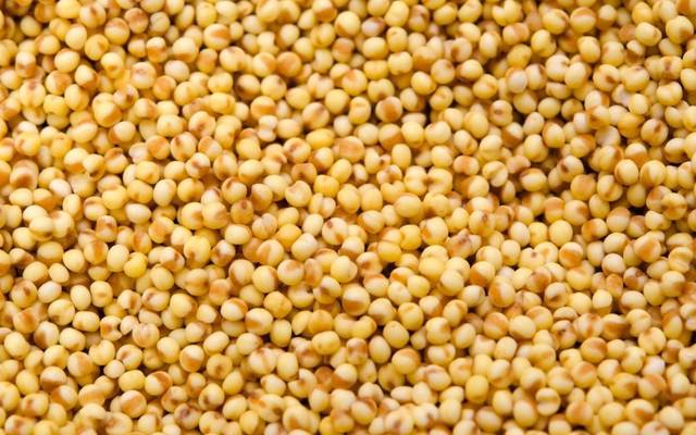 How Much Benefits of Foxtail Millet for Digestion and Health