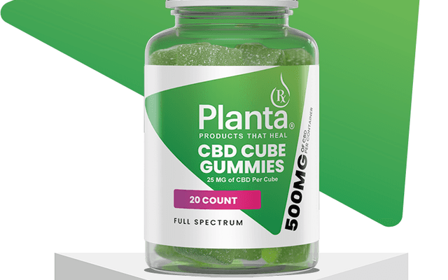 Planta RX CBD Gummies – Conceptual CBD Gummy Product Featuring Plant-Inspired Identity and Lifestyle Positioning